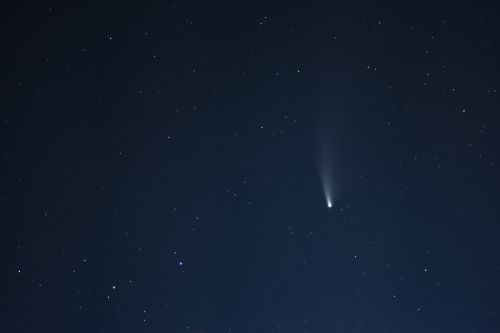 Komeet NEOWISE
