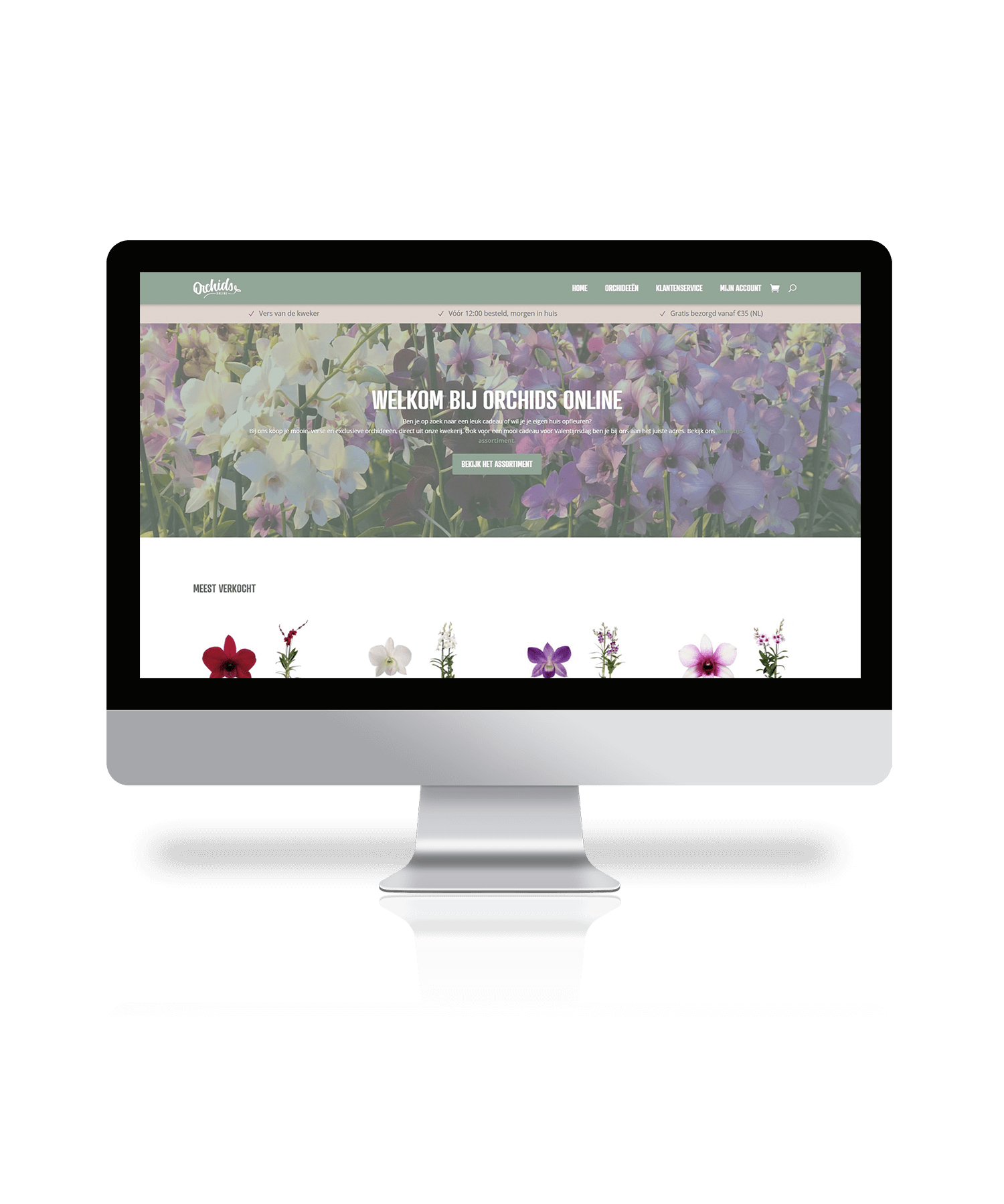 OrchidsOnline Website door Dennis Volkering