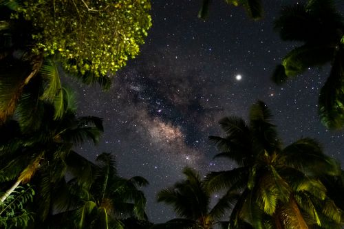 Melkweg door de bomen in Sri Lanka